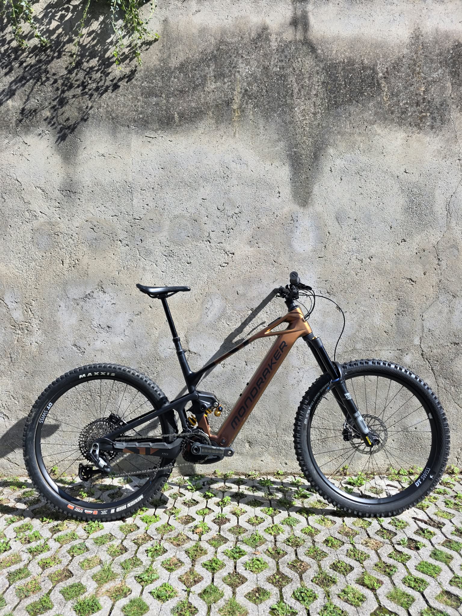 5499 -- 000 (3209)